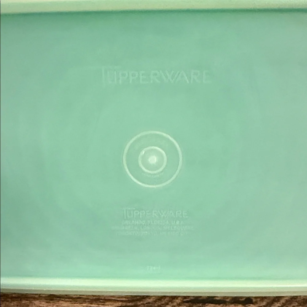 Tupperware Aqua Storage Box